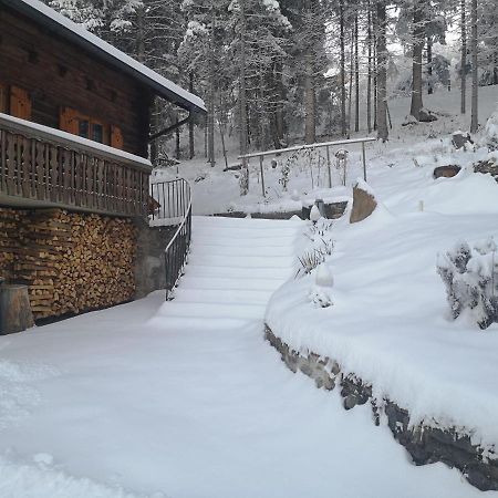 圣斯特凡Almhaus Oedlstein别墅 外观 照片