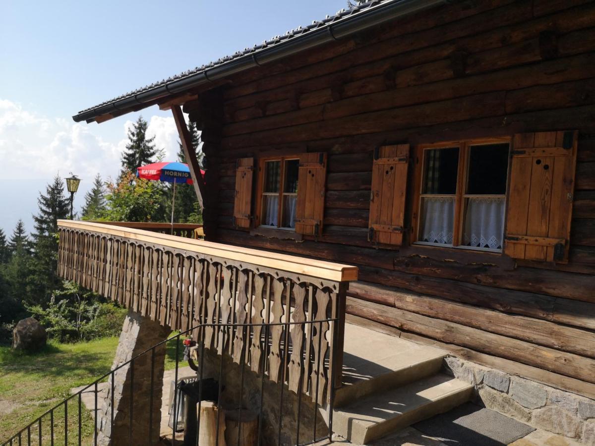 圣斯特凡Almhaus Oedlstein别墅 外观 照片