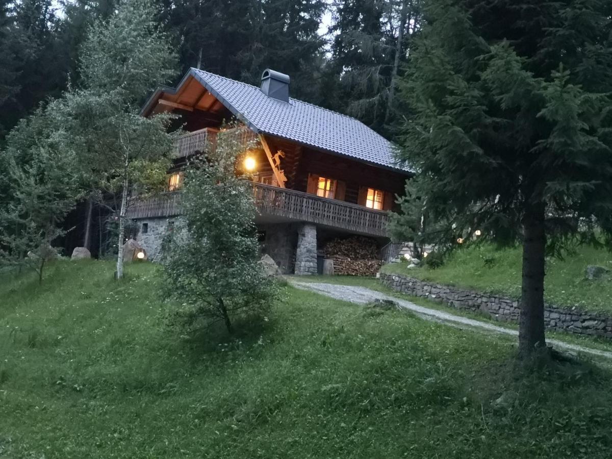 圣斯特凡Almhaus Oedlstein别墅 外观 照片